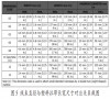 航空線束塑料拉帶捆扎施工方法